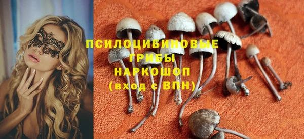 шишки Богородицк