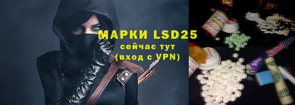 шишки Богородицк