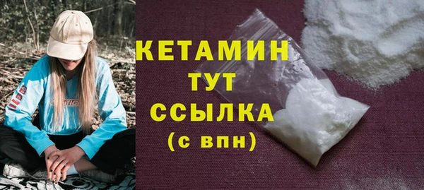 шишки Богородицк