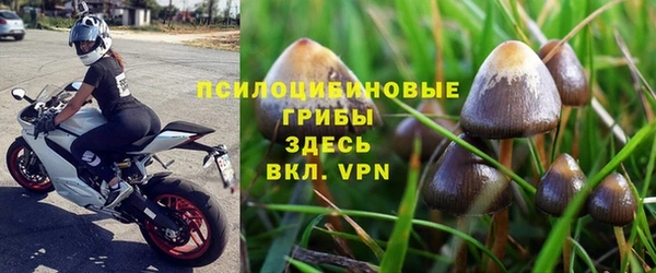шишки Богородицк
