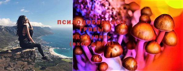 шишки Богородицк