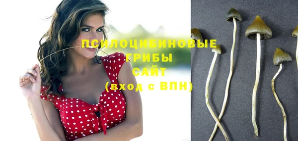 шишки Богородицк