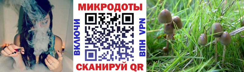 Псилоцибиновые грибы MAGIC MUSHROOMS  ссылка на мегу как зайти  Красавино  цены  